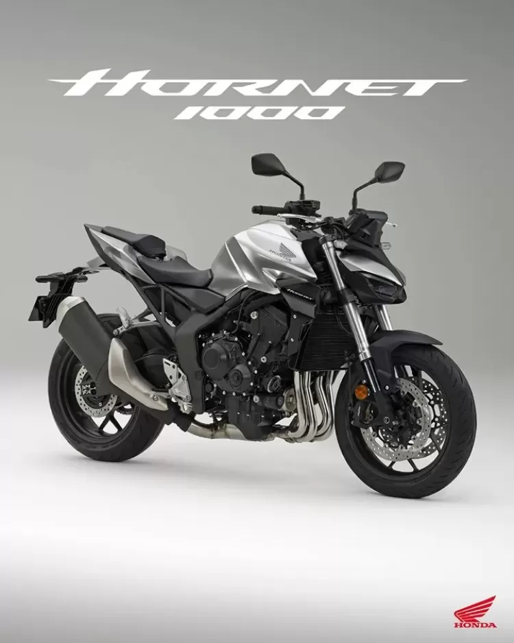 Hornet discount 1000 honda