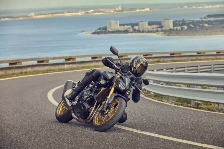 497788 25ym Honda Cb1000 Hornet