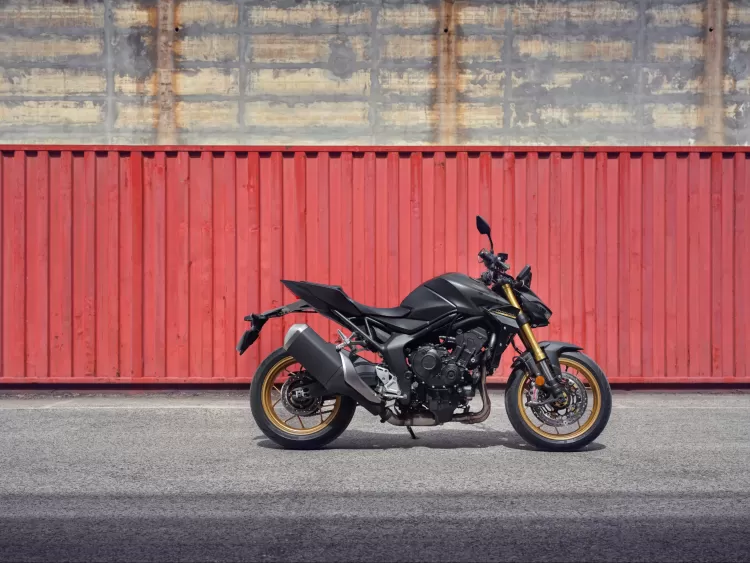 497813 25ym Honda Cb1000 Hornet
