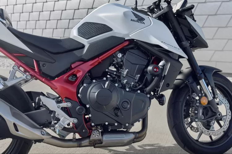 Hornet bike rate new arrivals