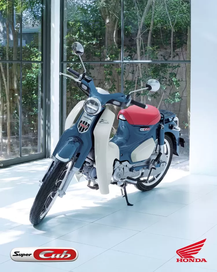 525878 25ym Honda Super Cub C125