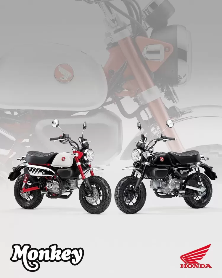 525852 25ym Honda Monkey 125