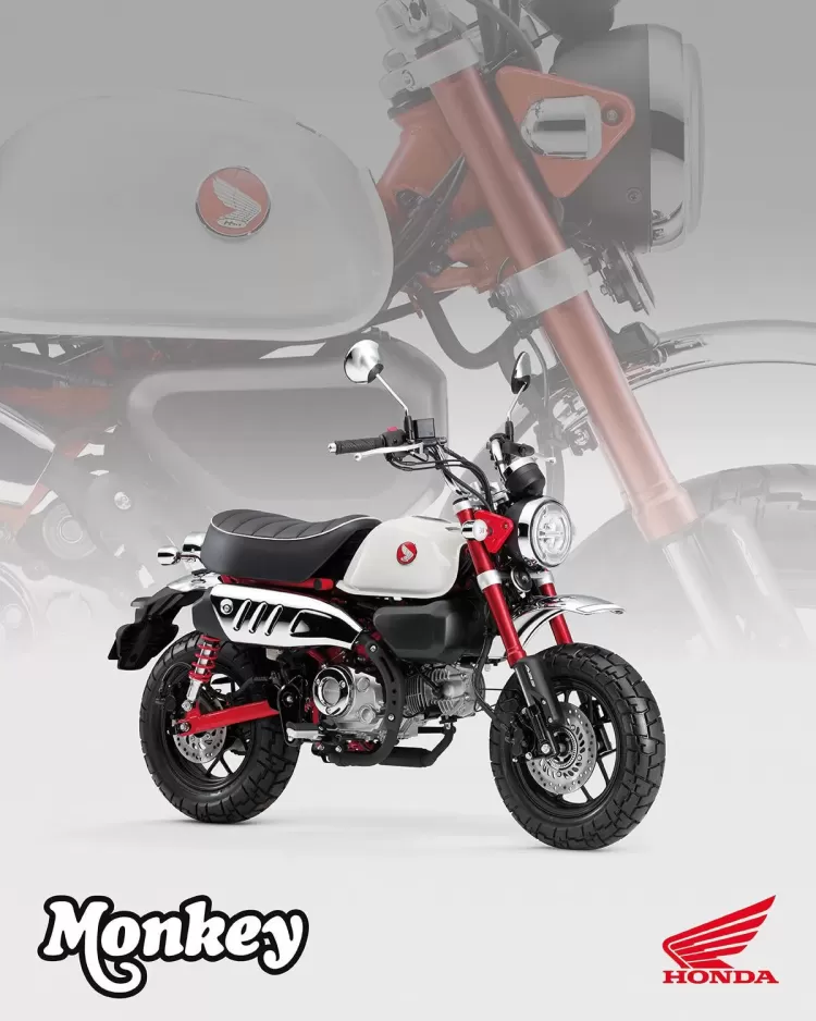 525847 25ym Honda Monkey 125