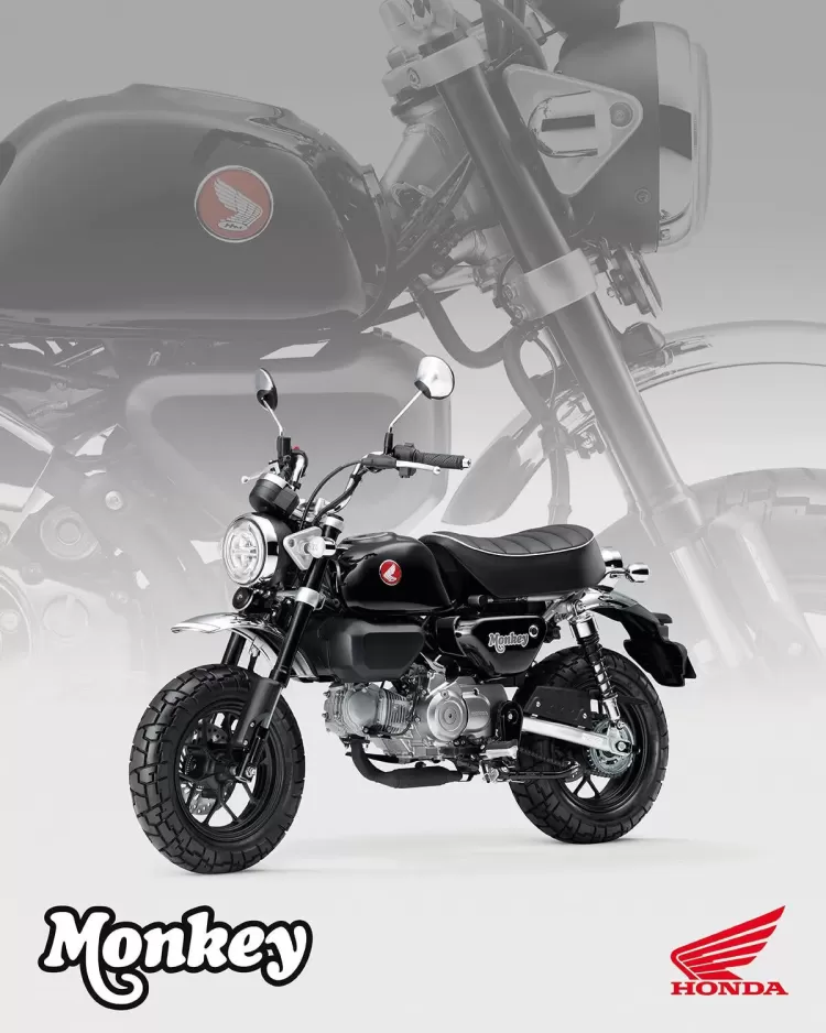 525849 25ym Honda Monkey 125