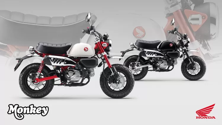 525861 25ym Honda Monkey 125