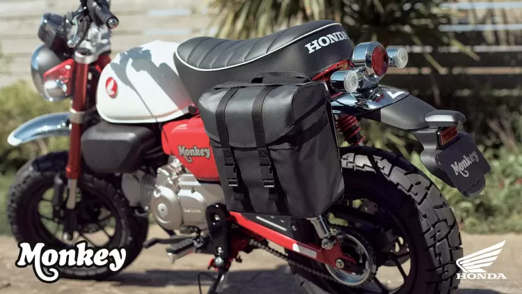 525866 25ym Honda Monkey 125