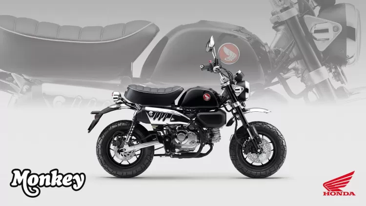 525859 25ym Honda Monkey 125