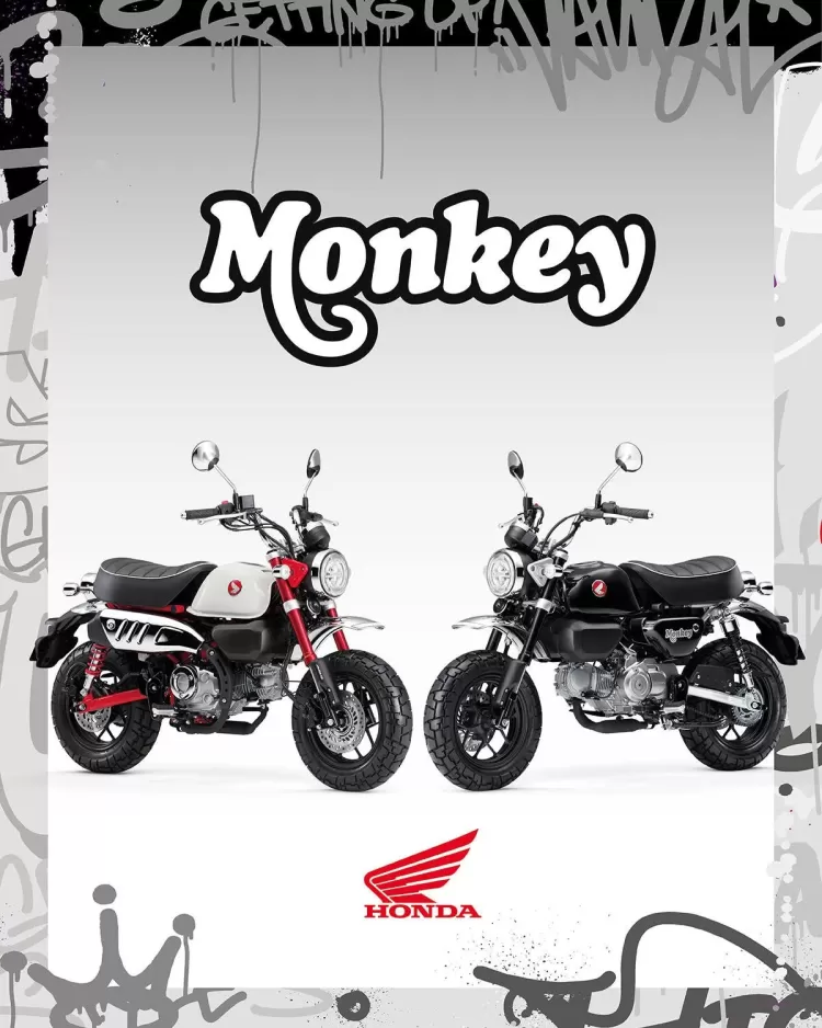 525856 25ym Honda Monkey 125