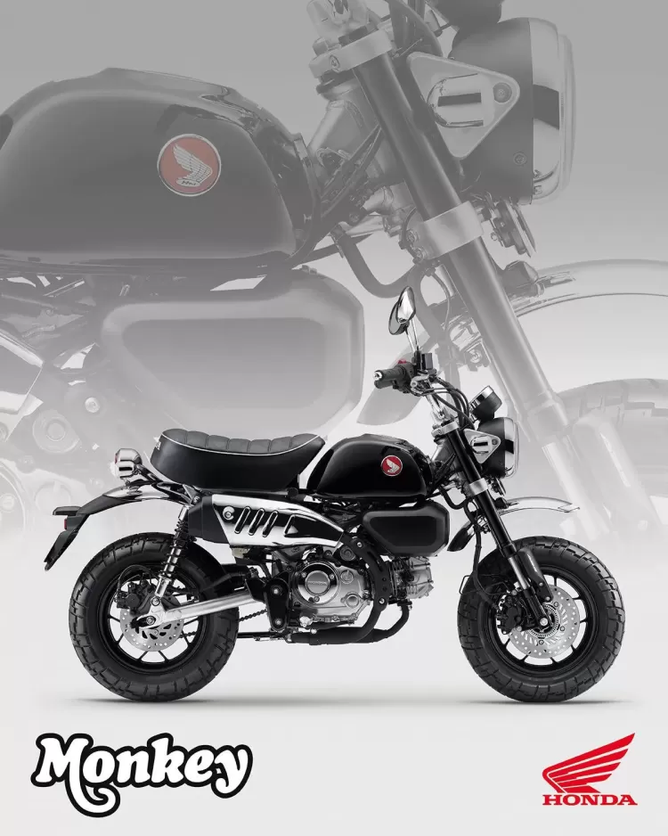 525850 25ym Honda Monkey 125