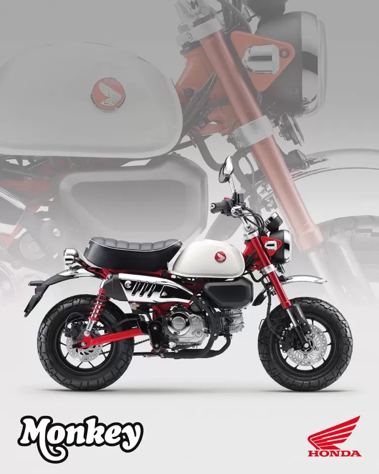525848 25ym Honda Monkey 125