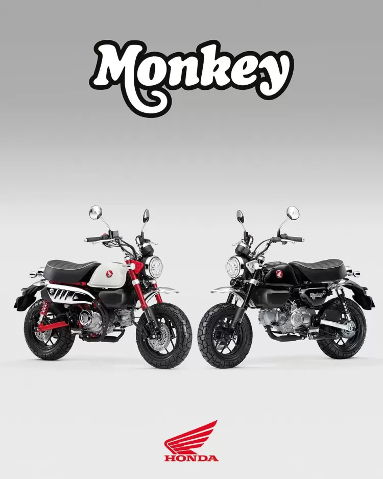 525851 25ym Honda Monkey 125