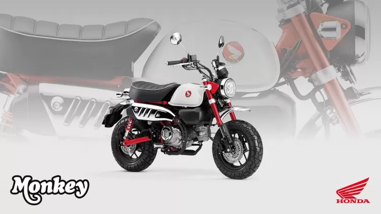525855 25ym Honda Monkey 125