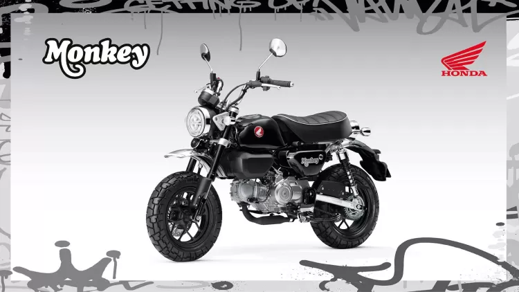 525864 25ym Honda Monkey 125