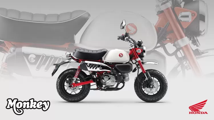 525857 25ym Honda Monkey 125