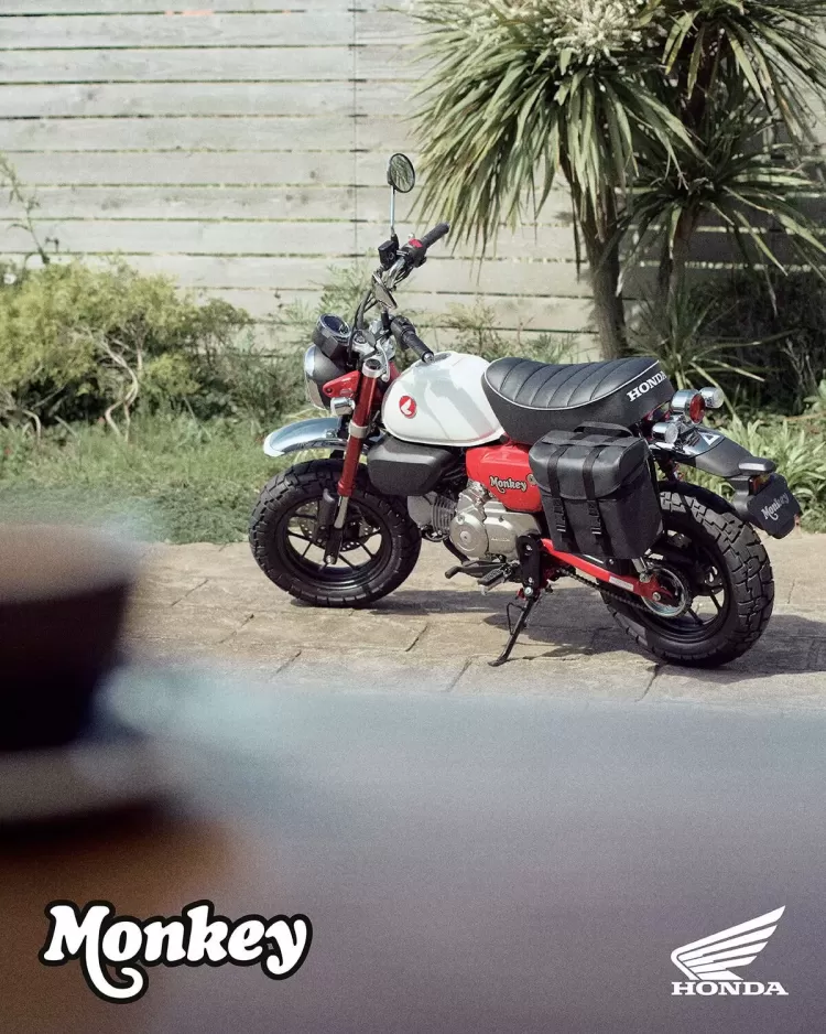 525843 25ym Honda Monkey 125