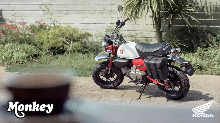 525845 25ym Honda Monkey 125