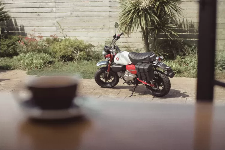 525842 25ym Honda Monkey 125