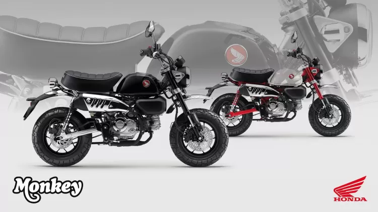 525863 25ym Honda Monkey 125