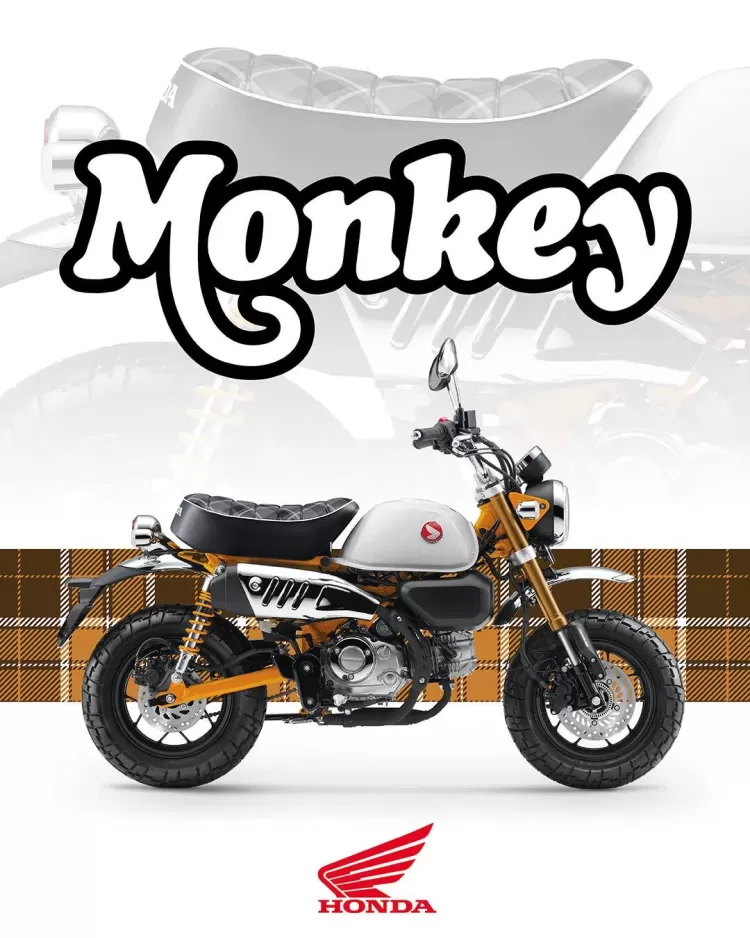 570453 26ym Honda Monkey 125