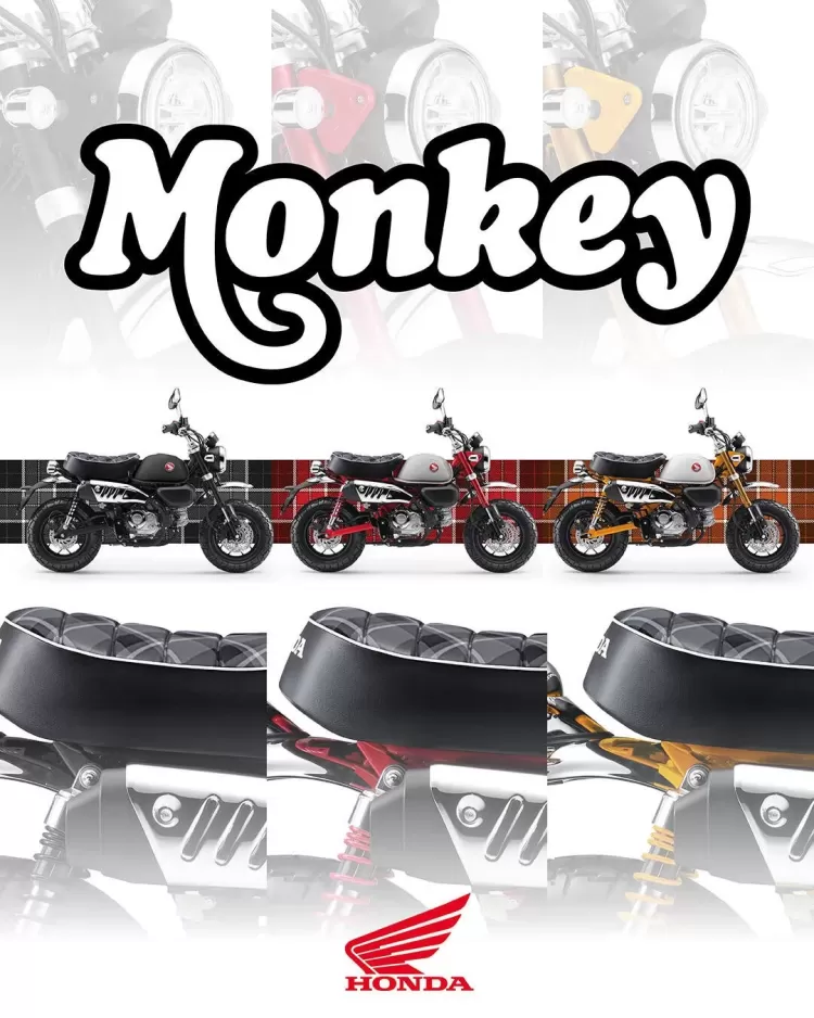 570455 26ym Honda Monkey 125